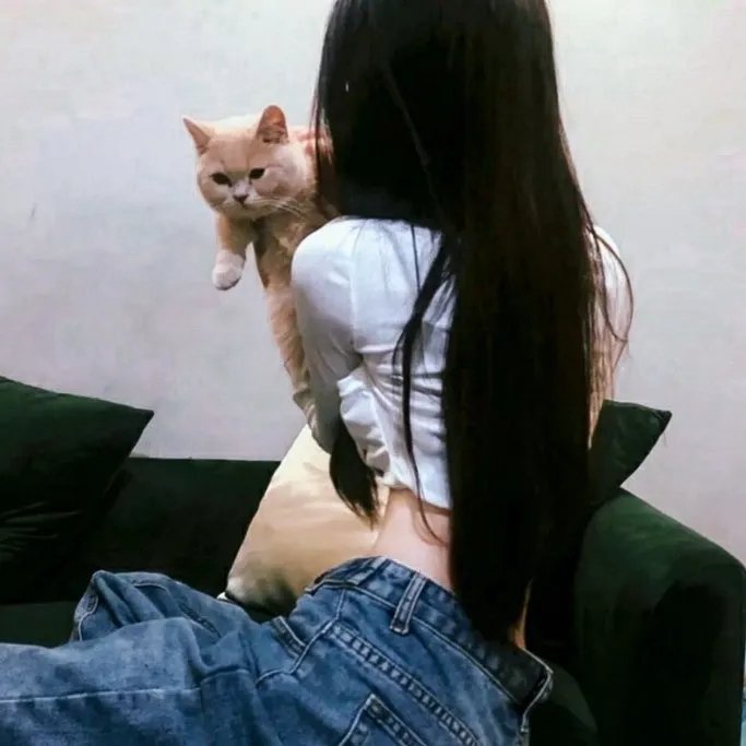 风带著我来 在线观看